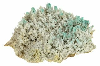 White and Teal Aragonite Formation - Pilhuatepec, Mexico #242658