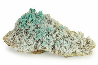White and Teal Aragonite Formation - Pilhuatepec, Mexico #242659
