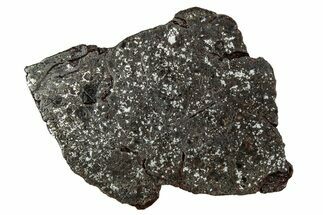 Polished Stony-Iron Mesosiderite Meteorite ( grams) - Chile #242896