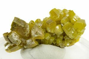 2.3 Yellow-Green Botryoidal Pyromorphite - Ojuela Mine, Mexico (#236823)  For Sale 