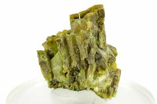 Lustrous Forest-Green Pyromorphite Crystal Cluster - China #242850