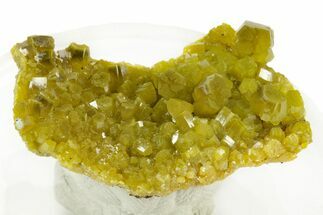Lustrous Yellow-Green Pyromorphite Crystal Cluster - China #242854