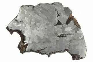 Campo del Cielo Iron Meteorite Slice ( g) - Argentina #243038