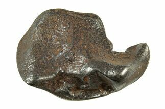 Fusion Crusted Sikhote-Alin Iron Meteorite ( g) - Russia #243171
