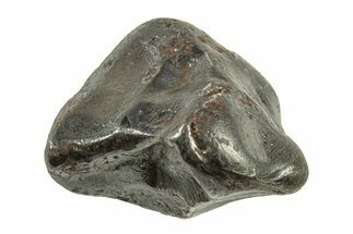 Fusion Crusted Sikhote-Alin Iron Meteorite ( g) - Russia #243175