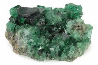 Fluorescent Green Fluorite Cluster - Rogerley Mine, England #243325