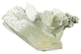 Chlorite Included Quartz Crystal Cluster - Pakistan #244306