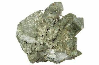 Chlorite Included Quartz Crystal Cluster - Pakistan #244311
