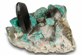 Amazonite Crystal Cluster with Smoky Quartz - Colorado #244504