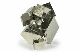 Shiny Natural Pyrite Cube Cluster - Navajun, Spain #244975