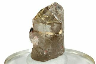 Glassy Rutilated Quartz Crystal - Brazil #244769