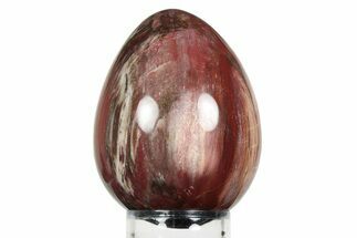 Colorful, Polished Petrified Wood Egg - Madagascar #245375