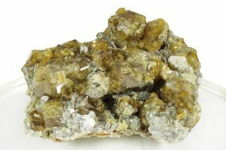Yellow Andradite-Grossular Garnet Cluster with Clinochlore - Mali #245217