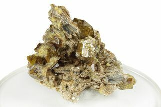 Yellow Andradite-Grossular Garnet Cluster with Clinochlore - Mali #245218