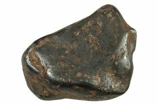 Canyon Diablo Iron Meteorites (- grams) - Arizona #245584