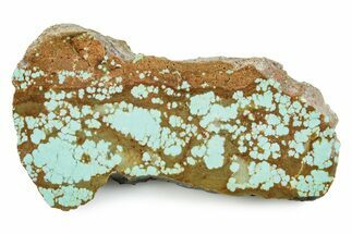 Polished Turquoise Slab - Number Mine, Carlin, NV #245505