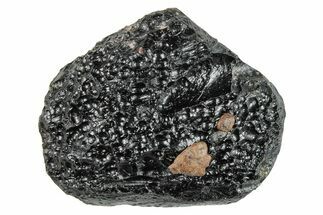 Indochinite Tektite ( grams) - Pailin District, Cambodia #245444