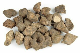 Agoudal Meteorites For Sale
