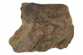 Agoudal Iron Meteorite ( grams) - Morocco #245591