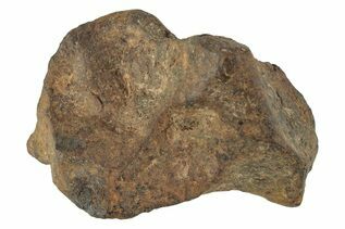 Agoudal Meteorites For Sale