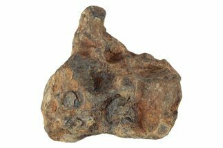 Agoudal Iron Meteorite ( g) - Morocco #245603