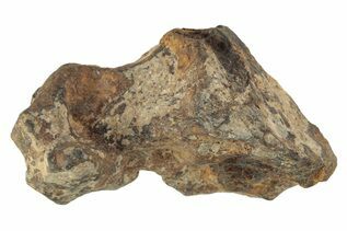 Agoudal Meteorites For Sale