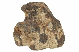 Agoudal Iron Meteorite ( g) - Morocco #245609
