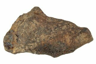 Agoudal Iron Meteorite ( grams) - Morocco #245614