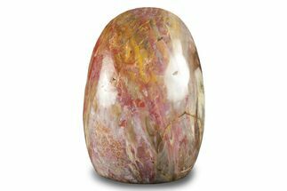 Free-Standing, Polished Petrified Wood - Madagascar #246109