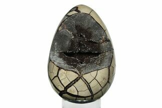 Septarian Dragon Egg Geode - Black Crystals #246062