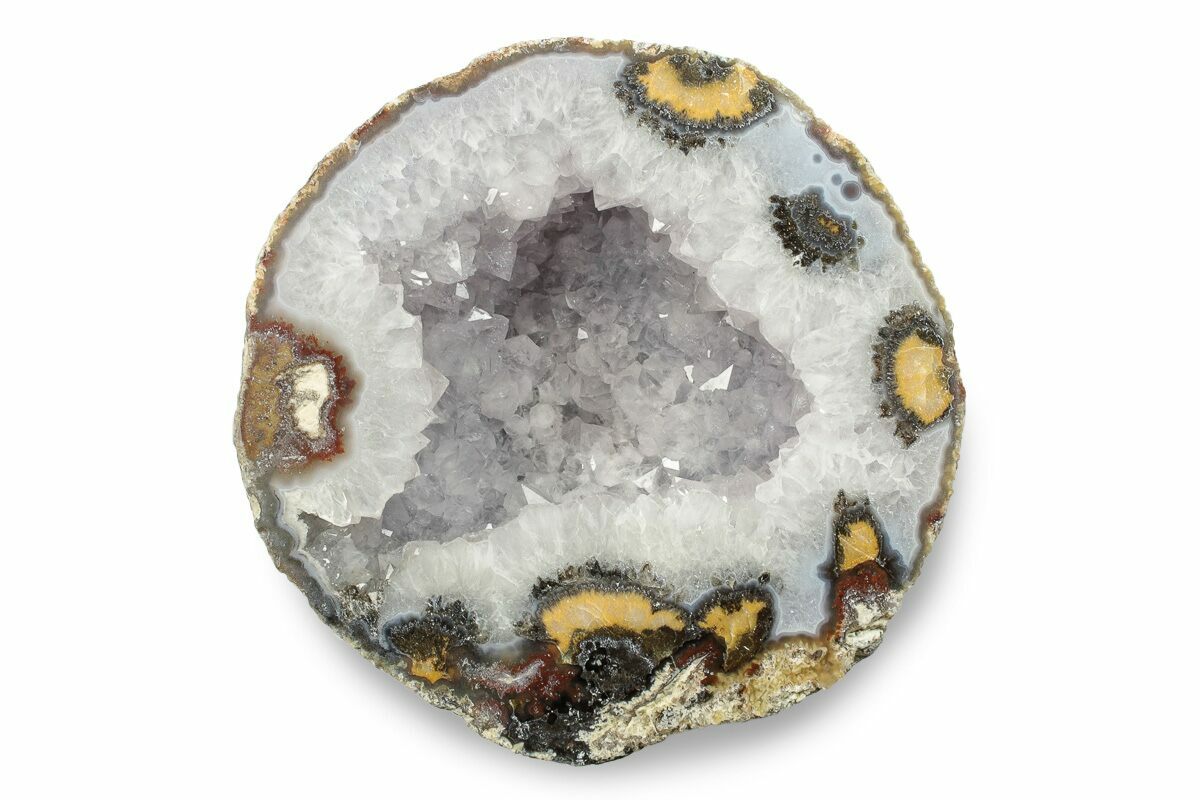 4" Las Choyas "Coconut" Geode Half with Quartz Crystals Mexico (246282) For Sale