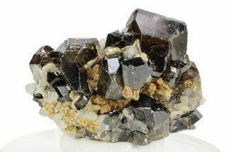 Gemmy Cassiterite Crystals on Siderite - Viloco Mine, Bolivia #246689