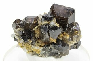 Gemmy Cassiterite Crystals on Quartz - Viloco Mine, Bolivia #246692