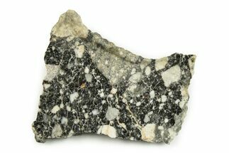 Polished Lunar Meteorite Slice ( grams) - Algeria #247001