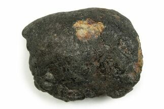 Chelyabinsk Chondrite Meteorite ( g) - Russia #247007