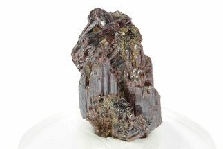 Lustrous, Red-Brown Rutile Crystals - Québec, Canada #247283