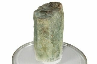 Blue-Green Aquamarine Crystal - Brazil #246640