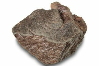 Chondrite Meteorite ( grams) - Western Sahara Desert #247498