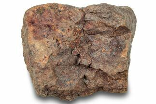 Chondrite Meteorite ( grams) - Western Sahara Desert #247494