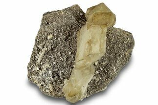 Golden Calcite Crystals w/ Dolomite & Herkimer Diamonds - NY #247249