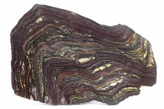 Polished Tiger Iron Stromatolite Slab - Billion Years #247780