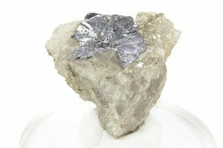 Gleaming Molybdenite in Quartz - La Corne, Canada #247815