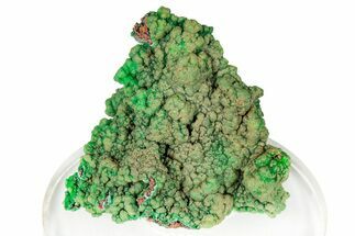 Forest Green Conichalcite Formation - Namibia #247968