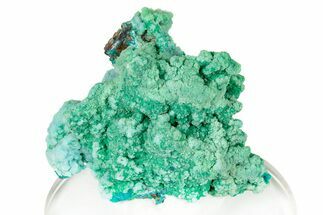 Forest Green Conichalcite on Chrysocolla - Namibia #247973