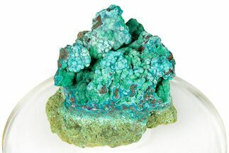 Forest Green Conichalcite on Chrysocolla - Namibia #247975