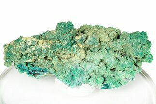 Forest Green Conichalcite on Chrysocolla - Namibia #247978