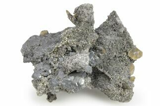 Metallic Bournonite Crystals with Pyrite and Siderite - Bolivia #248509