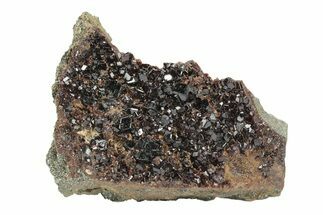 Deep-Red, Gemmy Hessonite Garnets with Clinochlore - Italy #248570