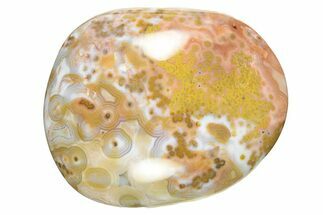 Polished Ocean Jasper Stone - New Deposit #248158