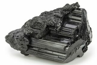 Terminated Black Tourmaline (Schorl) Crystal - Madagascar #248818